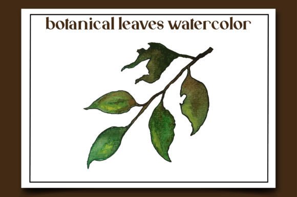 Botanical Leaves Watercolor-19: Illustrations for Branding