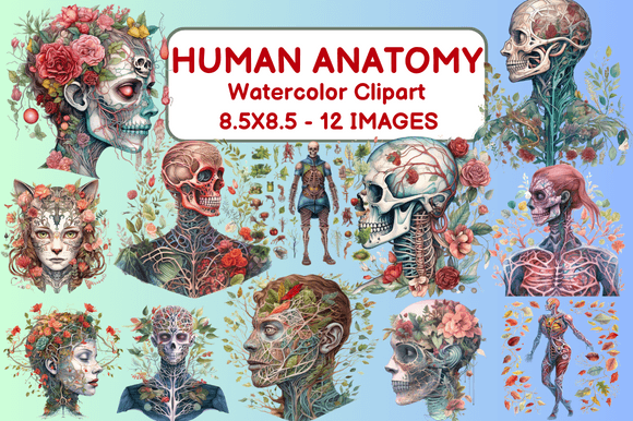 Human Anatomy Watercolor Clipart Illustrations