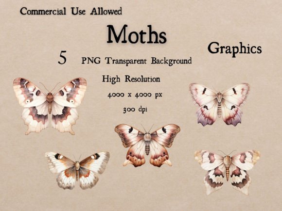 Moths 5 Watercolor PNG: Illustrations for Branding