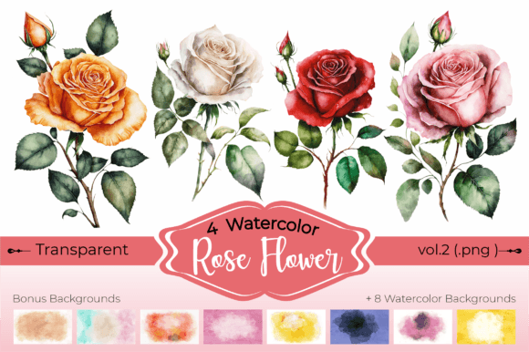 Rose Flowers Transparent Watercolor Illustrations Review