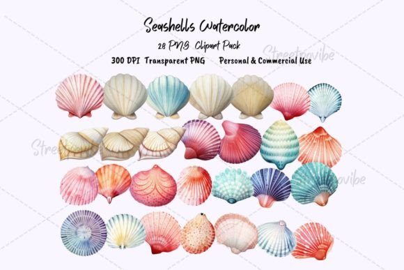 Seashell Watercolor Clipart PNG Pack: Editorial Illustrations