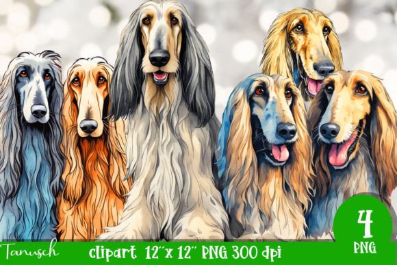 Watercolor Afghan Hound Clipart PNG: Elegant Illustrations