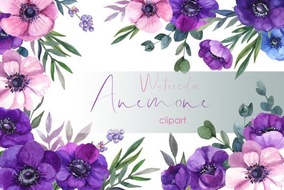 Watercolor Anemone PNG Spring Flower Illustrations