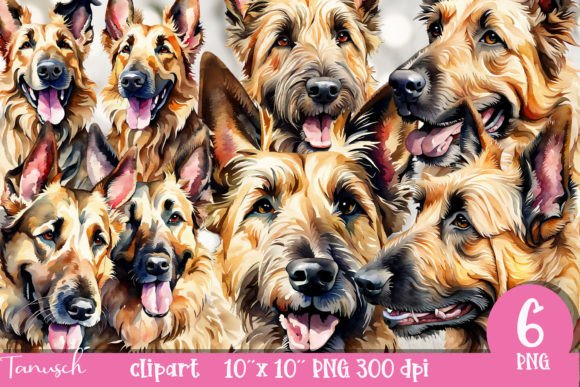 Watercolor Berger Picard Clipart PNG Illustrations Review