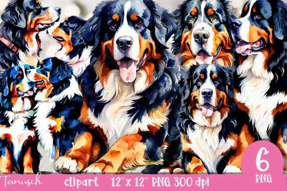 Watercolor Bernese Mountain Clipart PNG Illustrations