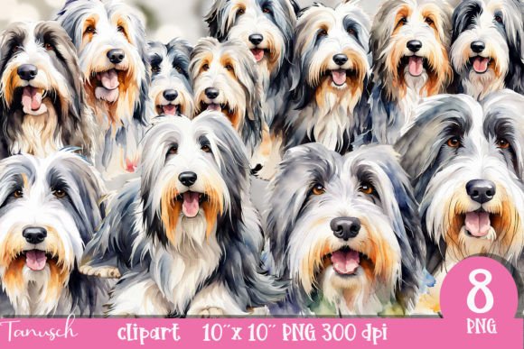 Watercolor Breaded Collie Clipart PNG in Illustrations