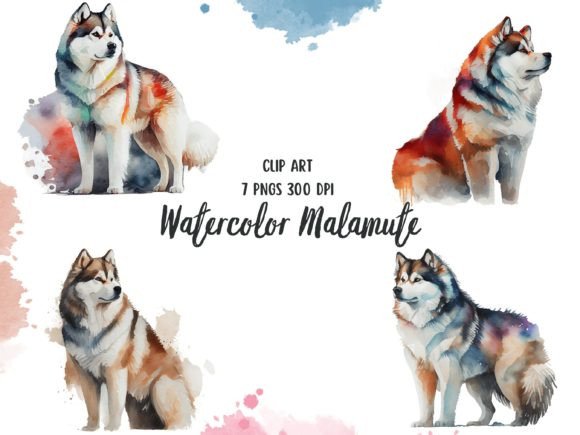 Watercolor Malamute Clipart Set: Illustrations Review
